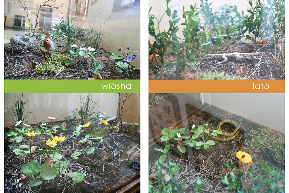 gabloty przyrodnicze