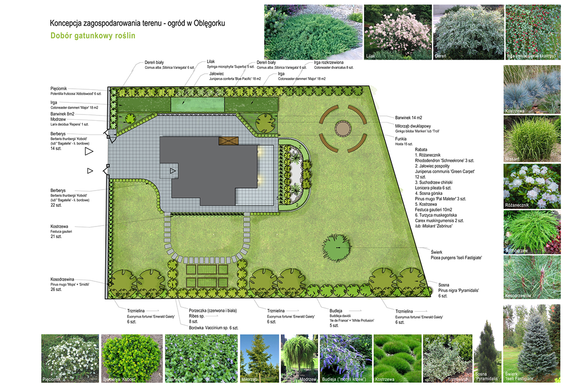 Dobór gatunkowy roślin