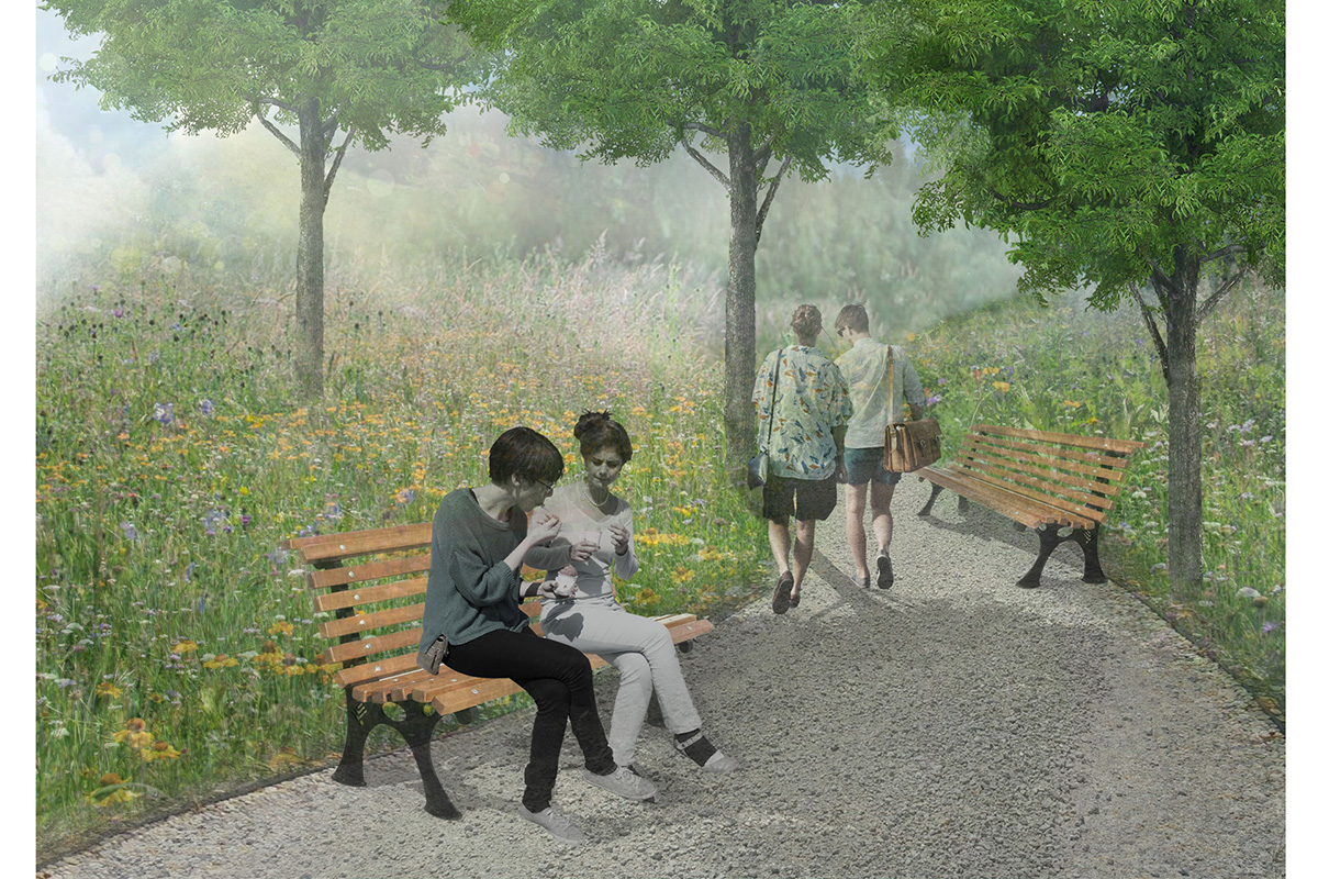 zagospodarowanie terenów zielonych w mieście Włoszczowa