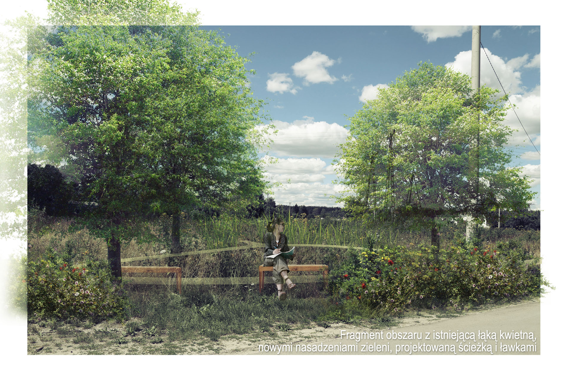 Zagospodarowanie obszarów zielonych