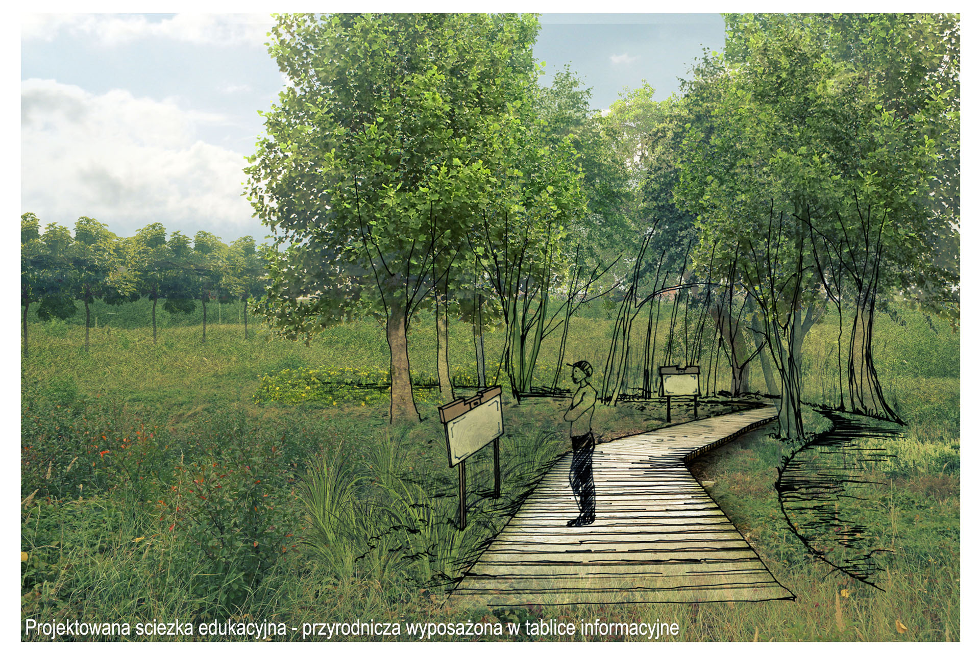 Projekt ścieżki edukacyjnej