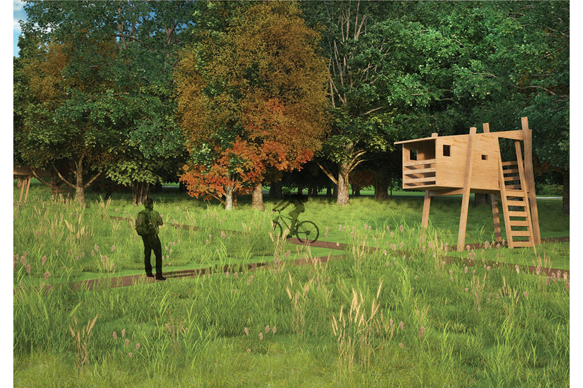 Projekt parku w Nadleśnictwie Elbląg