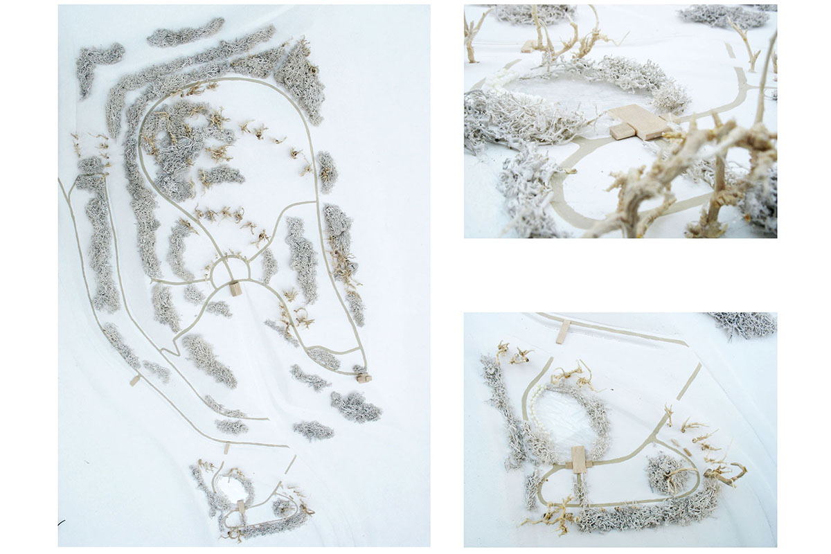 Model rekultywacji terenu