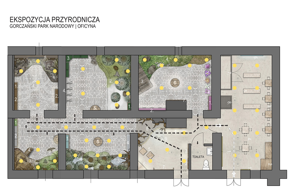 Ekspozycja przyrodnicza plan