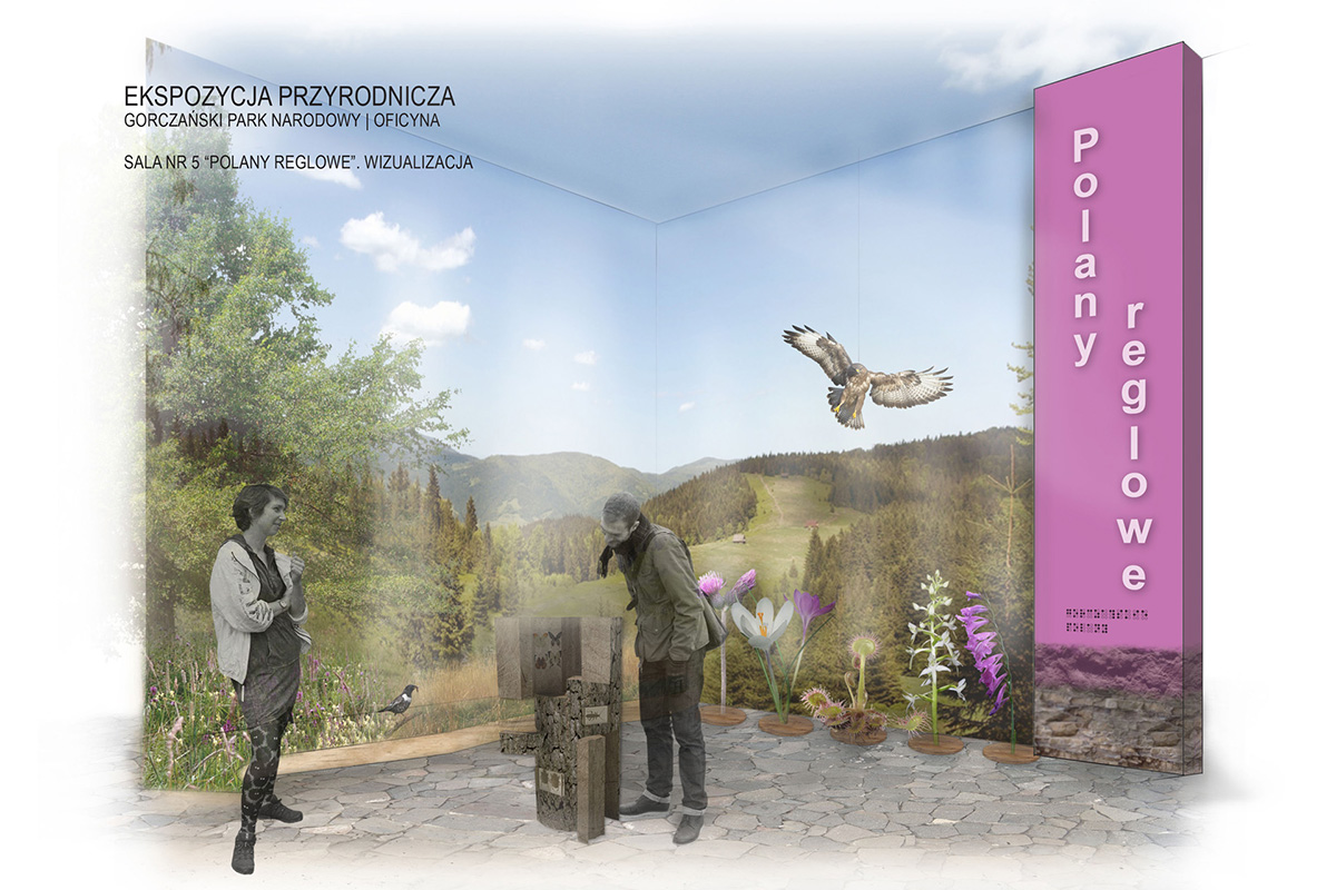 Ekspozycja przyrodnicza wizualizacja